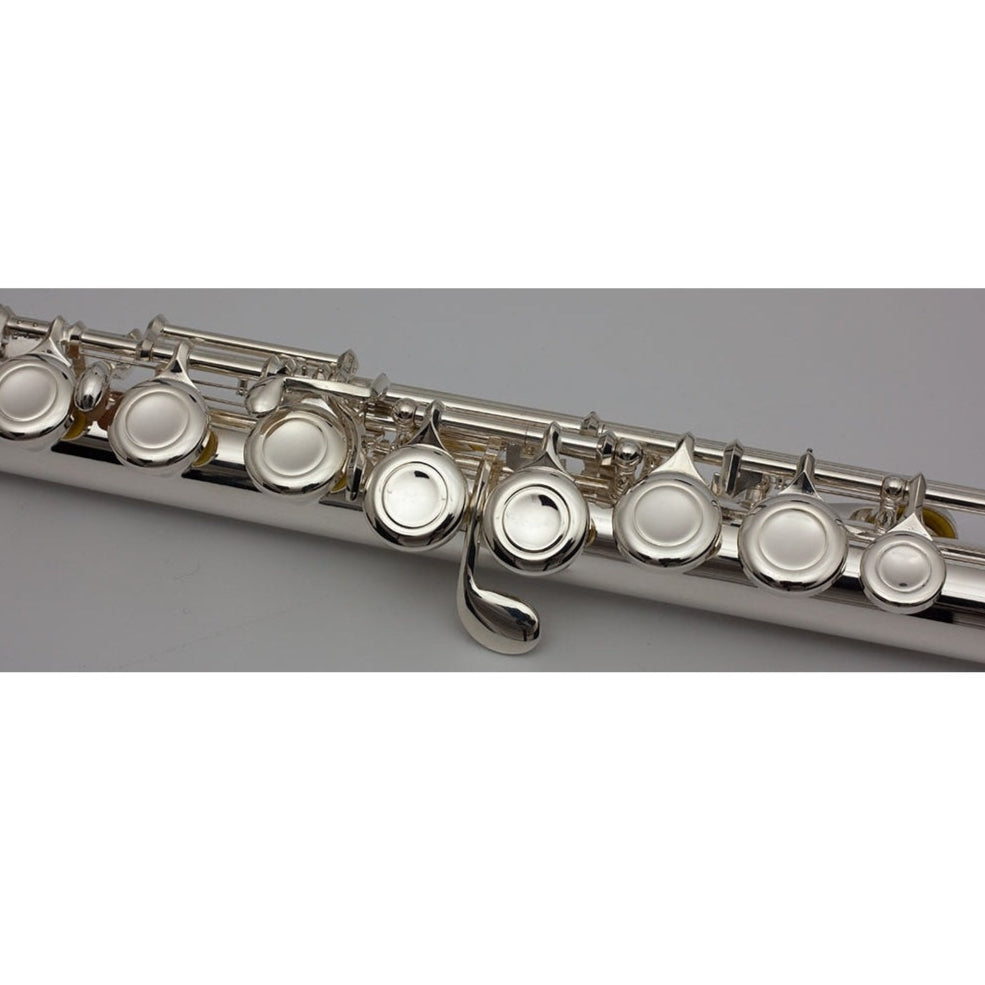 Student Flute Outfit Trevor James 5X 3005EW