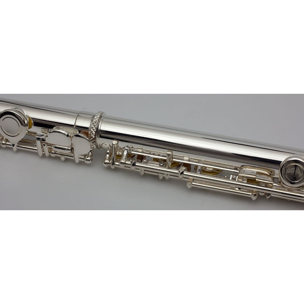 Student Flute Outfit Trevor James 5X 3005EW