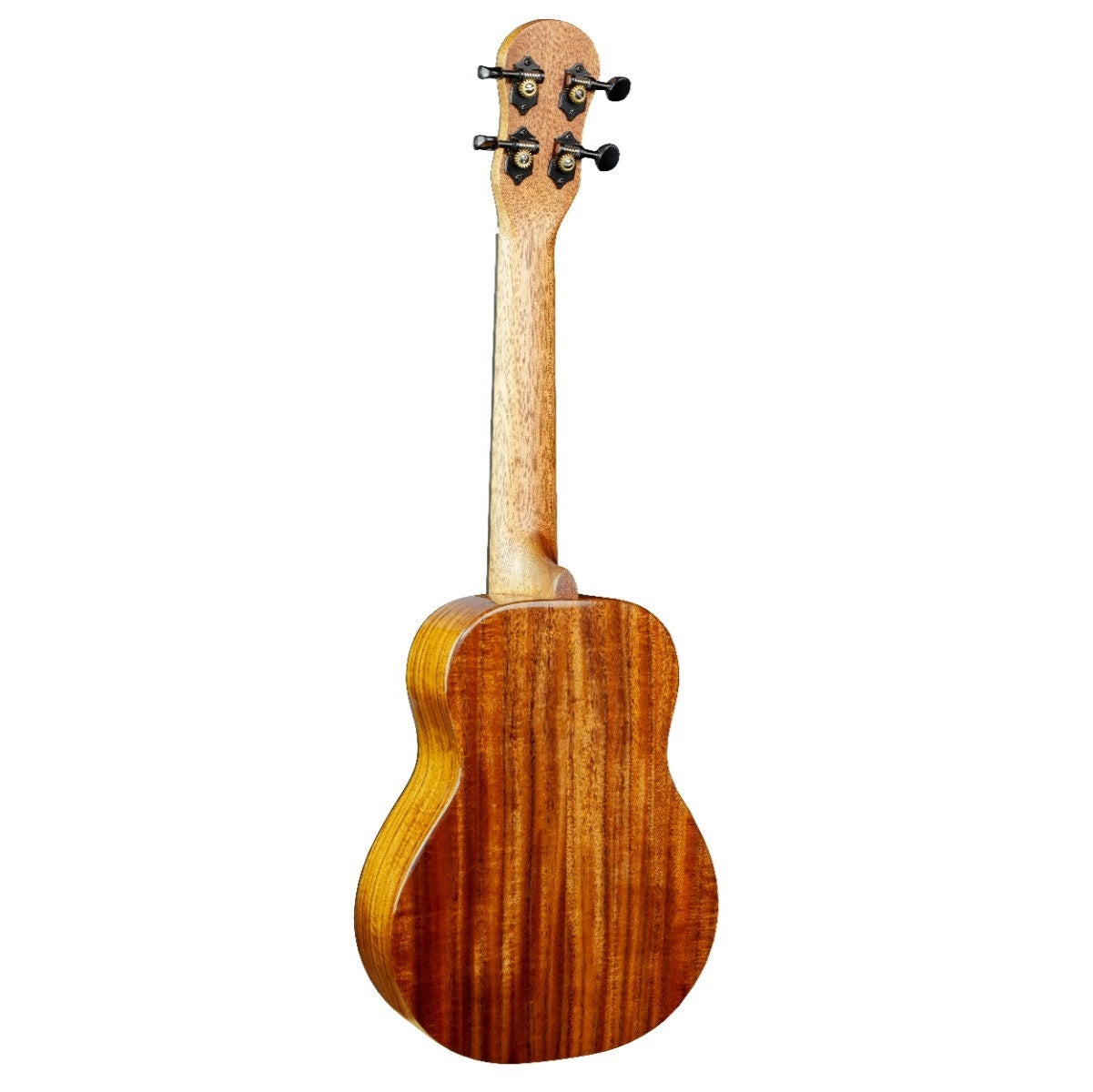 Barnes & Mullins Concert Ukulele - Solid Spruce & Acacia With Gig Bag